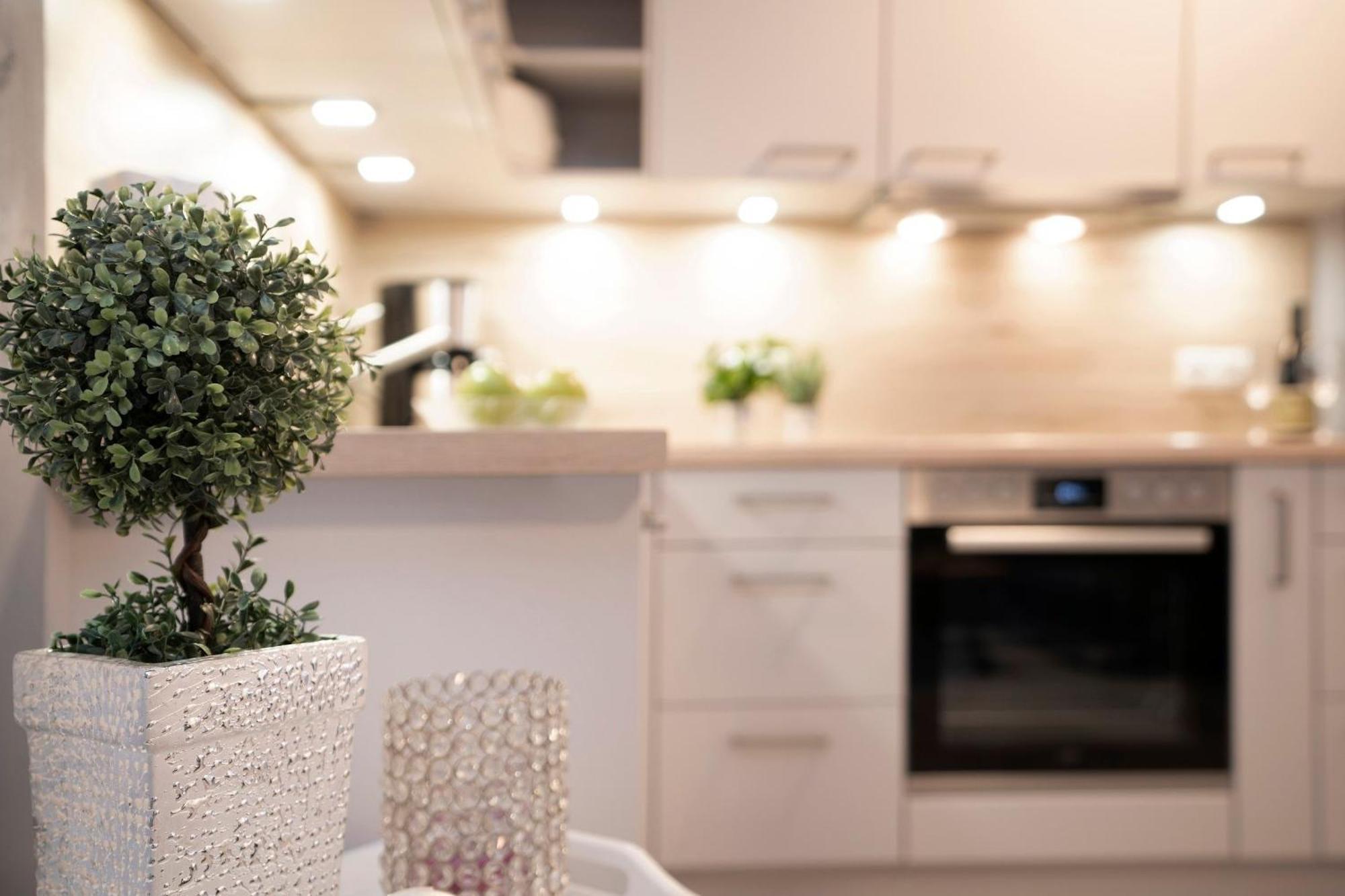Ankerplatz 16 Apartment Neustadt in Holstein Ngoại thất bức ảnh